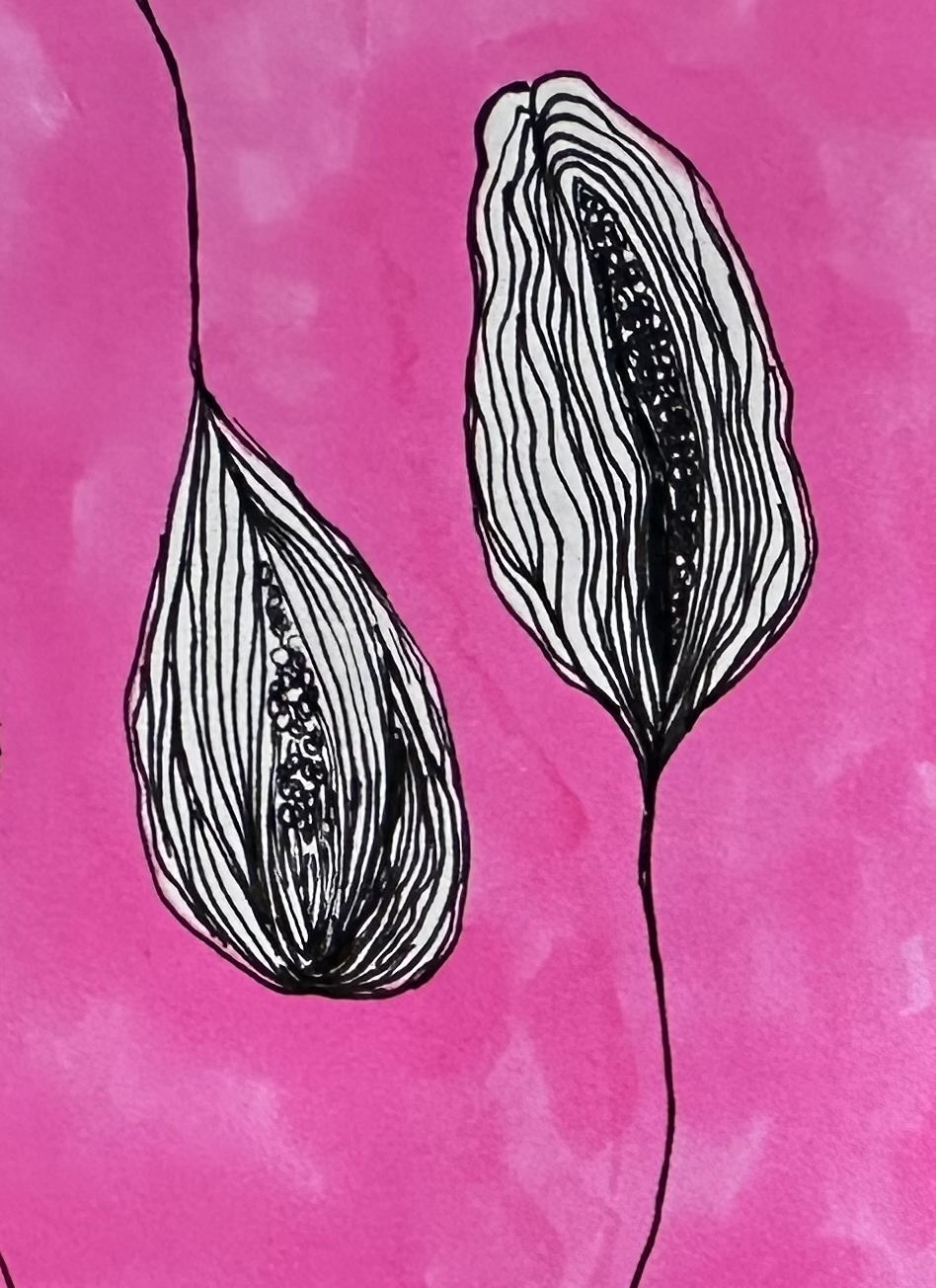 Hot pink background with a black ink drawing of plant pods